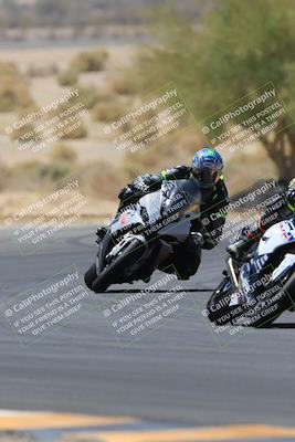 media/May-14-2023-SoCal Trackdays (Sun) [[024eb53b40]]/Turn 5 Tree of Life (1125am)/